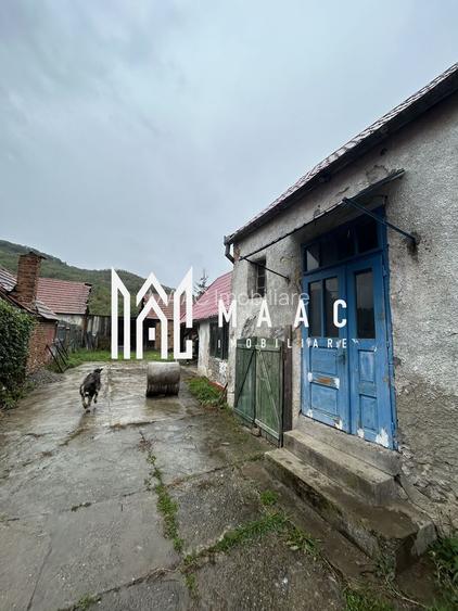 Casa 3 camere I 1000 mp Teren I Amnas - 4