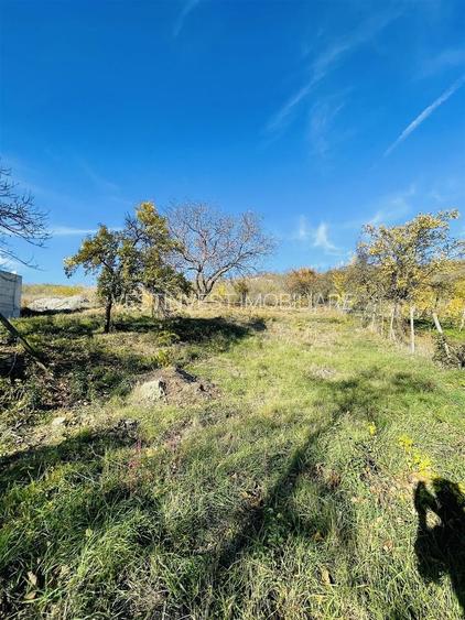 Teren de vanzare intravilan Oradea - 4