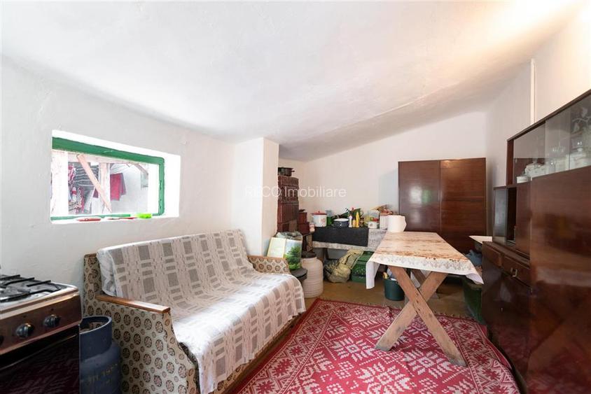 Teren mare cu 2 case si front la 2 strazi in Tamaseu - 22