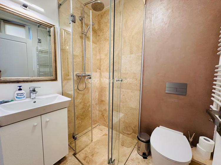 Floreasca || vila cu gradina birou sau rezidential - 9