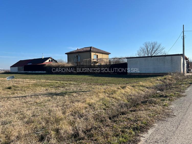 Gradistea- Ilfov, str. Nuferilor - 1000 mp - 9