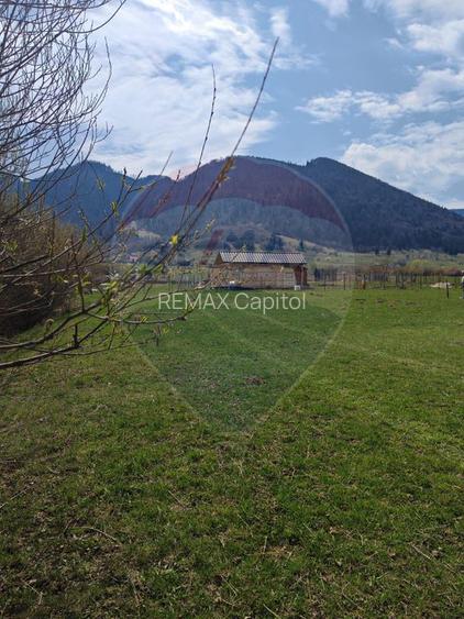 Teren 1,404mp Zarnesti / Strada FN - 2