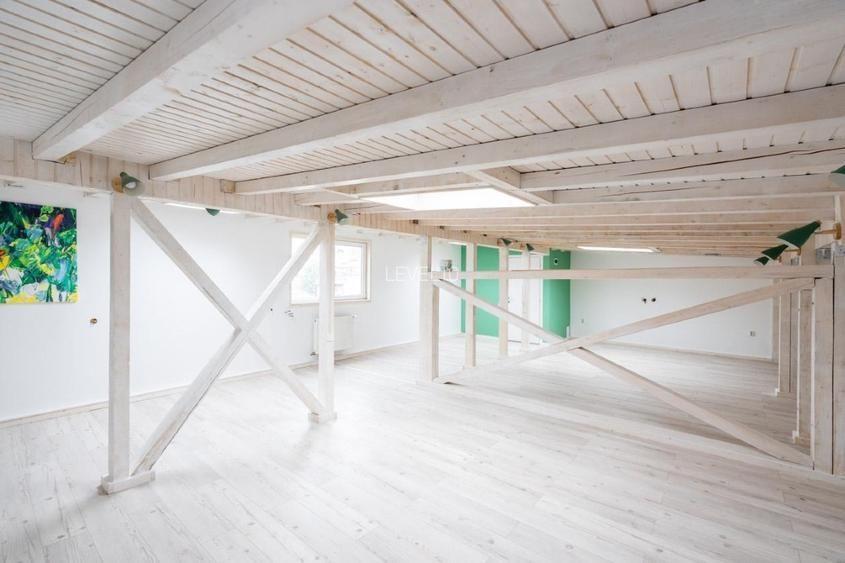 Vila eleganta de inchiriat | zona Căderea Bastiliei – Piața Romana - 11