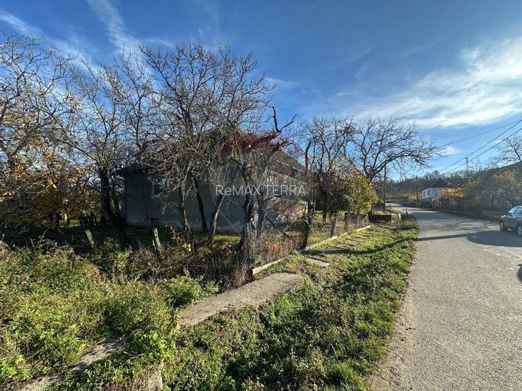 GOSPODARIE - liniste - natura - DE VANZARE - 10