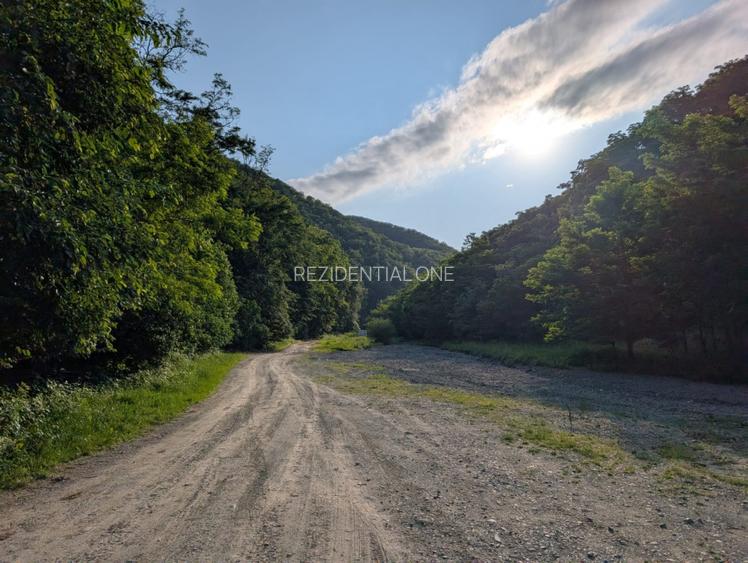 Sarata Bai- Oportunitate investitie- 4038 mp- priveliste spectacol - 14