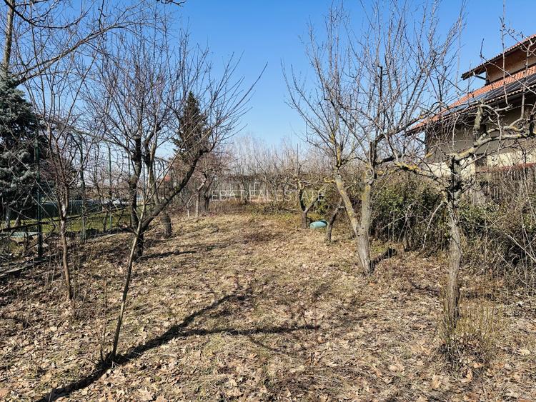 Domeniu splendid 2500 mp teren pe malul lacului Morii, vila 300 mp, Rosu-Chiajna - 12