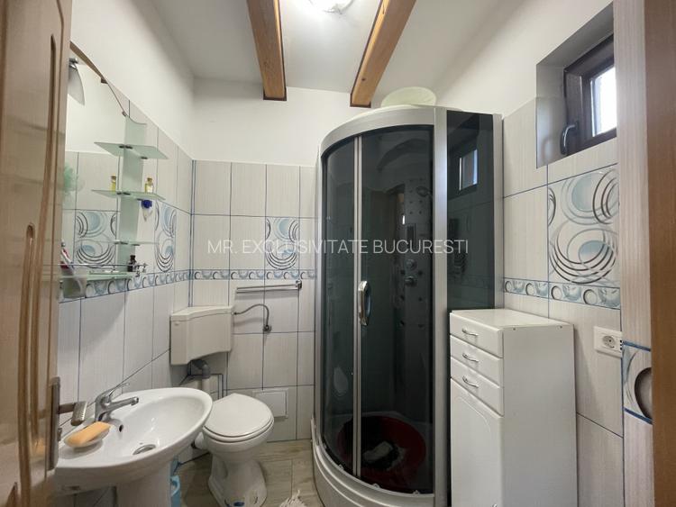 Cornu de Jos  Doua  case moderne, crama la subsol, prosumator - 33