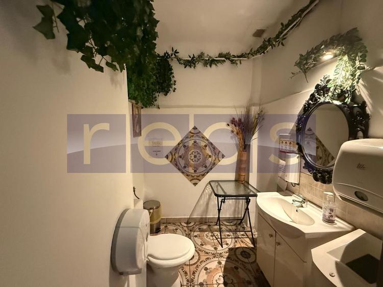 VANZARE VILA PONTENTIAL BUSINESS | ZONA DRISTOR BABA NOVAC | D+P+1E+M - 6