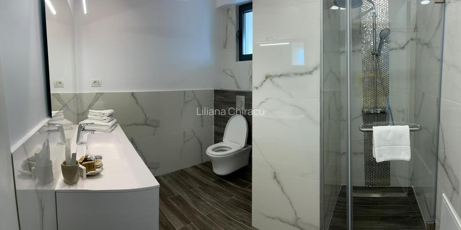 Penthouse 5 camere PIATA VICTORIEI - 6