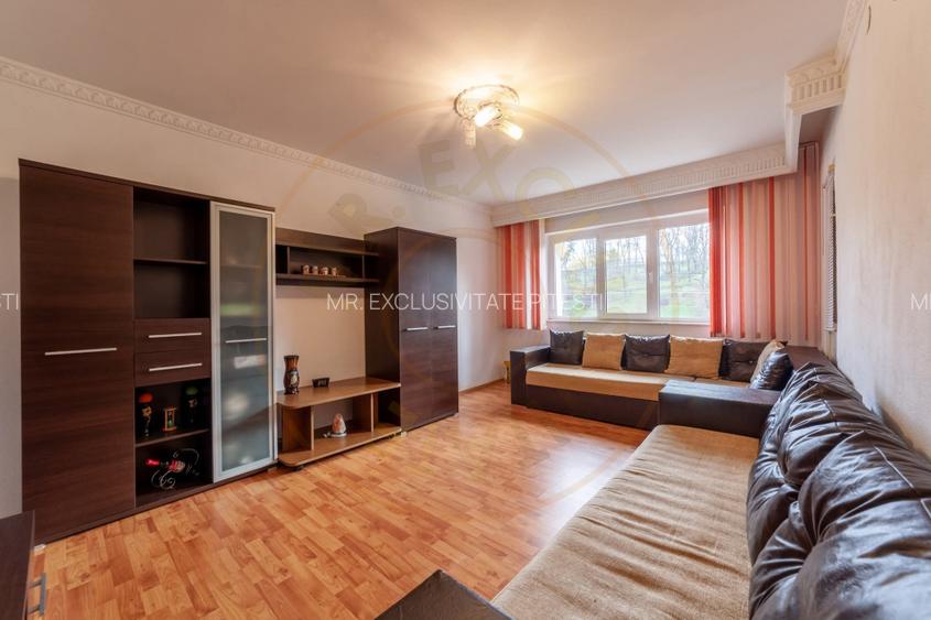 Apartament 2 camere Mioveni - Robea - 2