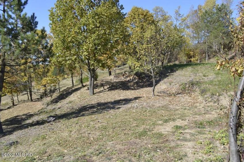Topoloveni - Conacul Ion Mihalache, Domeniu pe 5 Hectare! - 55