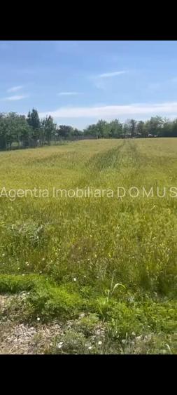 Teren1800mp intravilan Hanu Conachi - 3