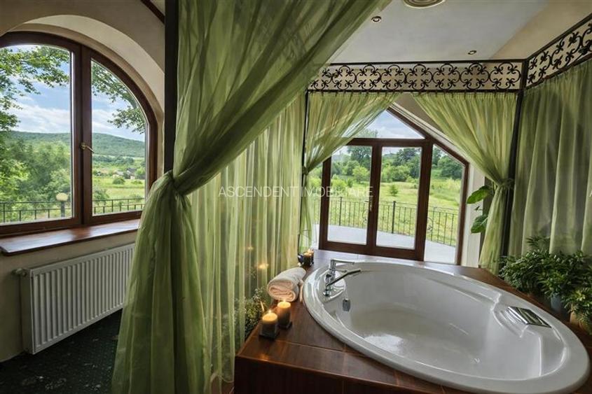 Domeniu de 30.000 mp + lac propriu +Vila protocol + Special - 5