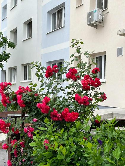 Apartament 2 camere, 41 mp utili, etaj 2, Sânmartin, Bihor. - 6