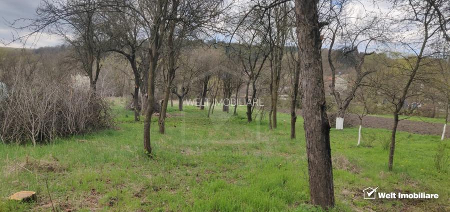 Comision 0% ! Teren Intravilan Central Baciu – Toate Utilitățile - 2