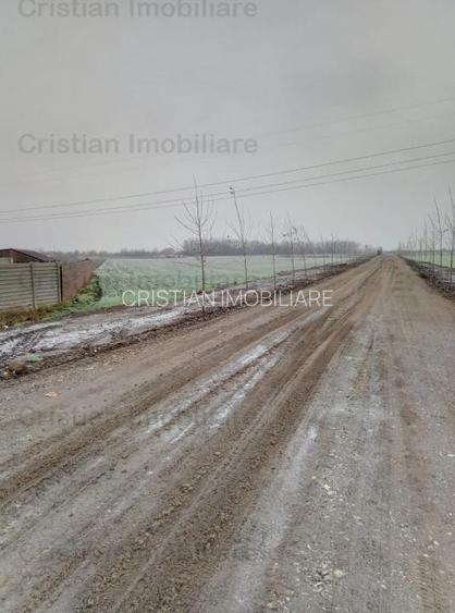 Teren 5000 mp,deschidere 50m Bine Pozitionat Cazasu, 15E mp - 3