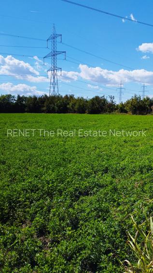 MEGA OCAZIE TEREN INTRAVILAN INDUSTRIAL 13652 MP DRUMUL LUNCA CETATII 42 E/MP - 6