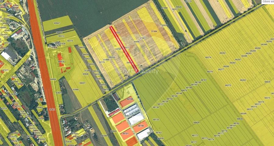 Teren intravilan Buftea, soseaua Tamasi - 3