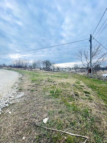 Teren Intravilan cu Front Dublu în Paleu - 3