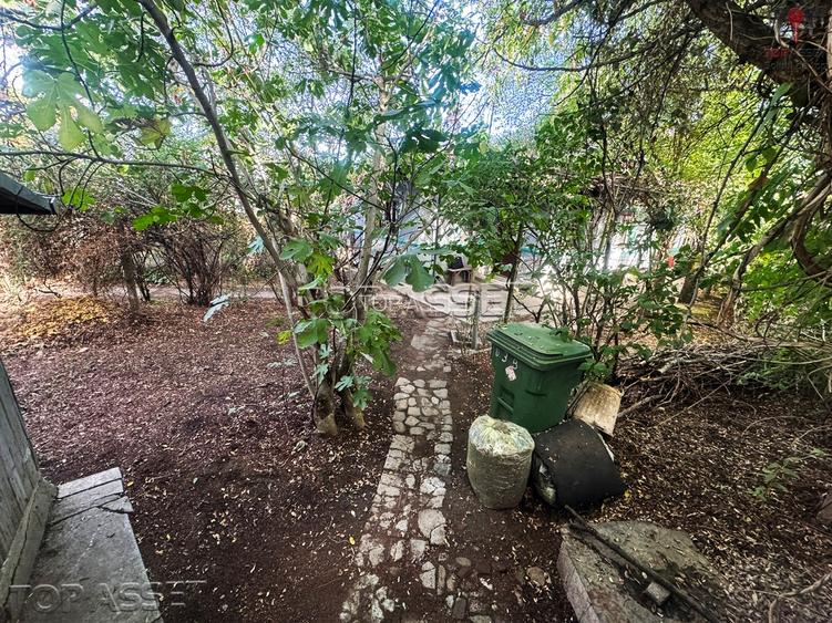 Pantelimon Central - 12