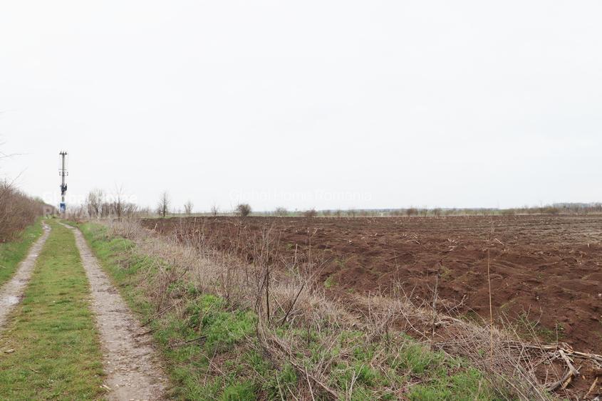 Teren 4000 mp lângă Pădurea Petrești | Investiție dezvoltare | Corbeanca - 5