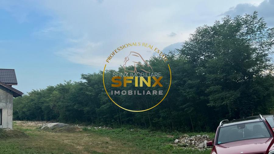 Teren intravilan 1000mp | Snagov | Padure I Drum asfaltat