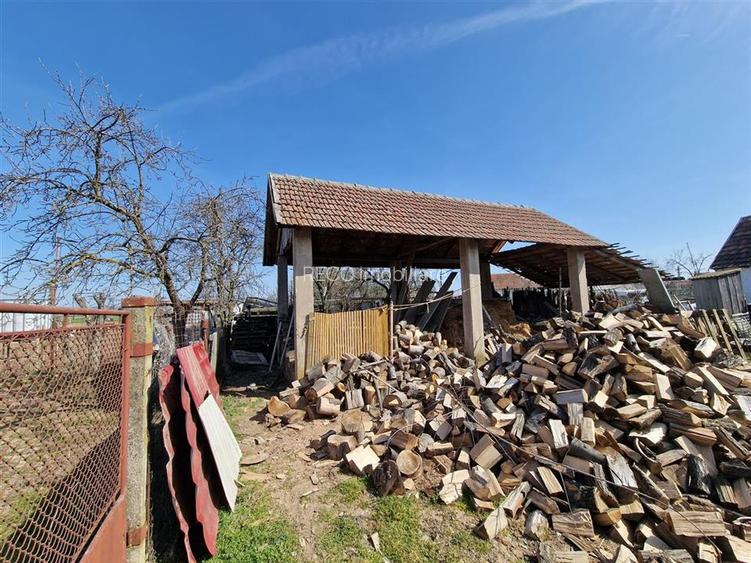 Teren mare cu 2 case in Sabolciu, com. Sacadat - 19