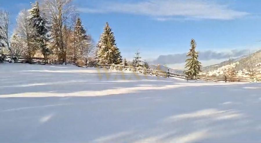 Teren 34,5 ari + cabana A-frame Colibita – ideal pentru resort, spa sau pensiune - 4