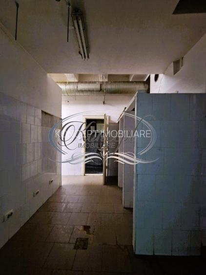 Spatiu comercial in Zorilor - 12