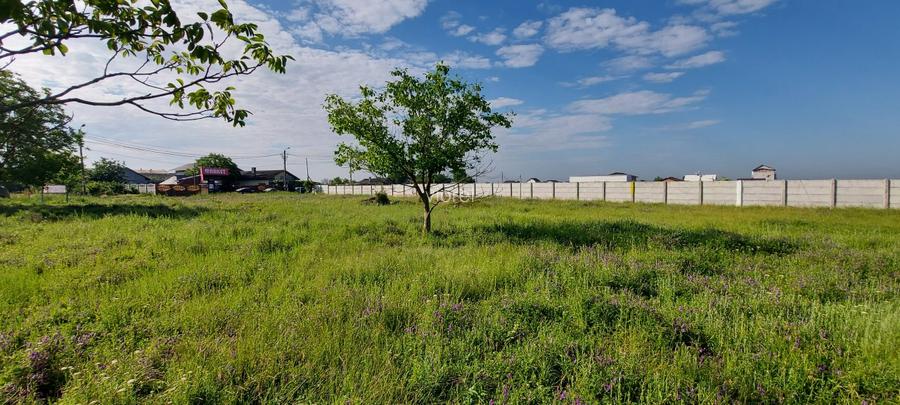 Teren 1700 mp pe colt 2 deschideri 87m str.Tiparnitei/ND Cocea  vand sau schimb - 6