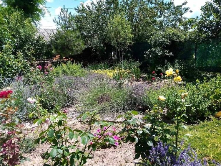 SUPER OFERTĂ – CASĂ ÎN VADU, APROAPE DE PLAJA SĂLBATICĂ! - 7