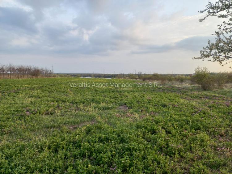 Teren de vanzare in Snagov, Jud. Ilfov - 6