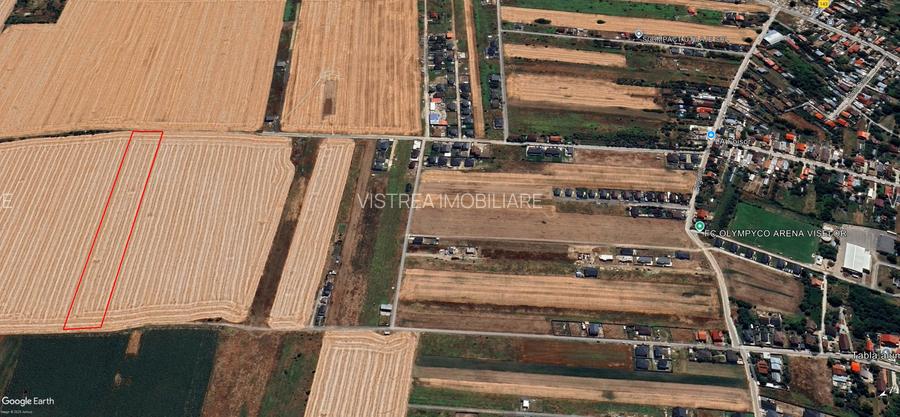 Teren intravilan 12.500 mp – Dragomirești Vale, Str. Lalelelor - 2
