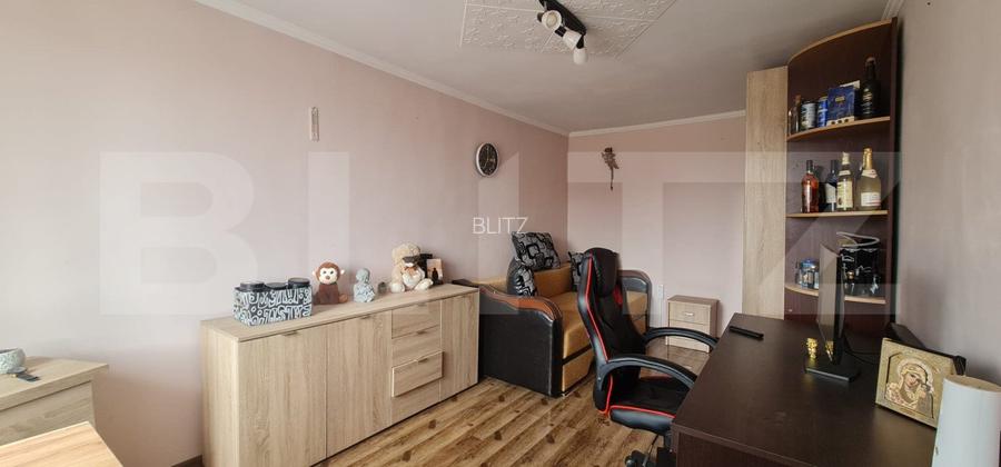 Casa individuala, Dambul Rotund  - 12