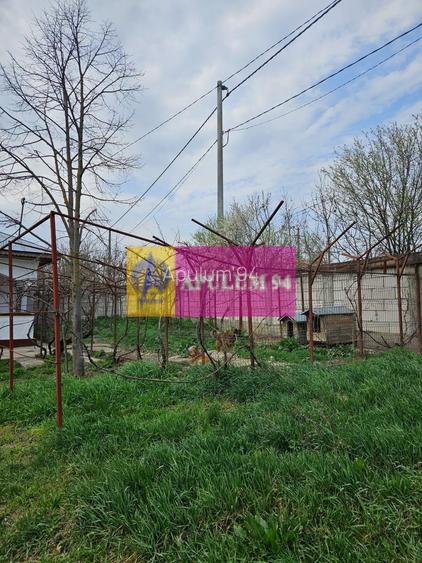 GIURGIU - COM. BUCSANI (SAT OBEDENI) CASA 2 CAM DE VANZARE - 27