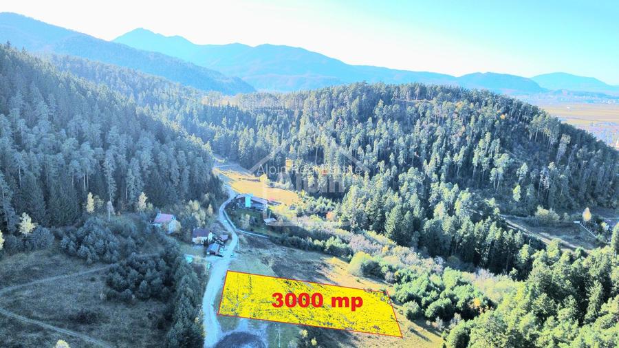 Teren Intavilan I Poiana Angelescu Sacele - 4