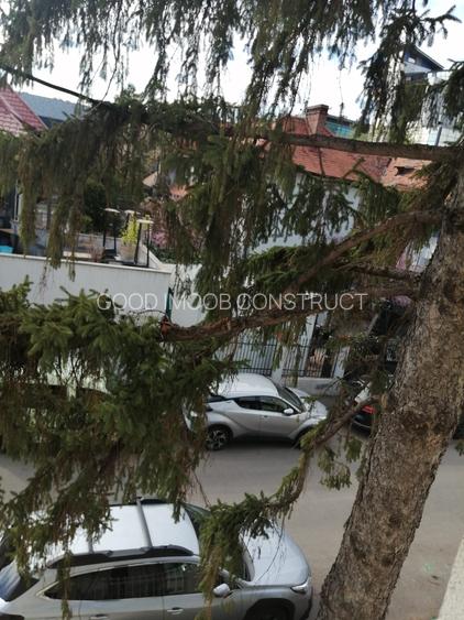 Închir Vila Floreasca 9 camere - 4