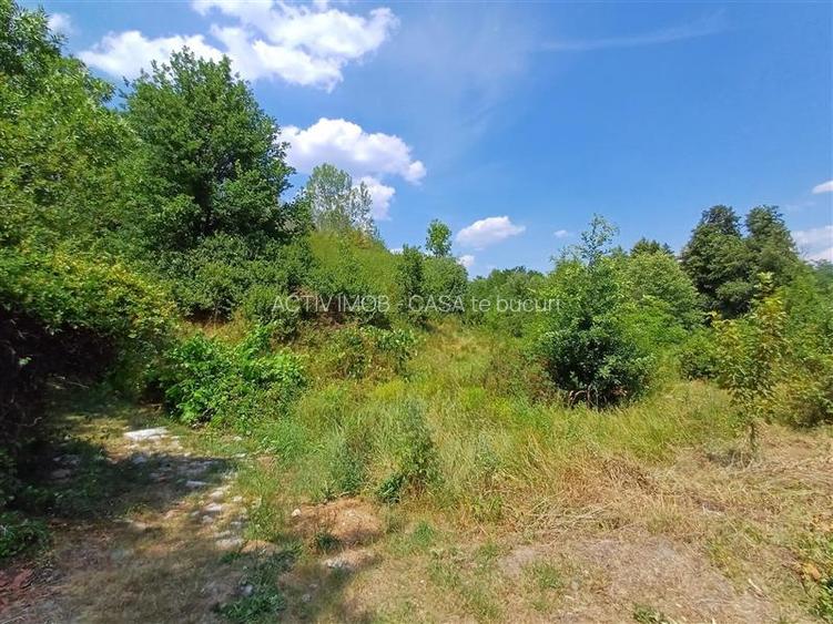 Resita, Terenuri Intravilane 2000 Mp., 28 Euro Mp., Calea Caransebesului, Mement - 6