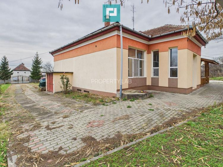 CONAC IMPRESIONANT ÎN GHIOROC - 25