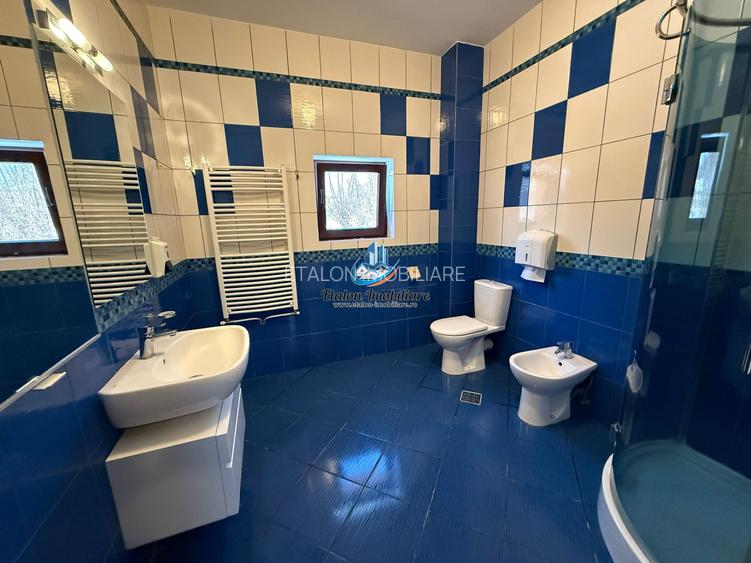 Casa 240 mp utili P+M, 9000 mp teren, Girov, Jud. Neamt - 3
