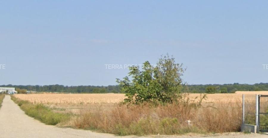 Teren intravilan Snagov pozitionat vizavi de centrul hipic Arcadia! - 8