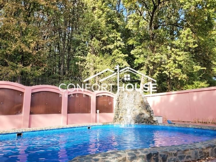 VILA D+P+E+M, 12 camere, piscina , padure, IANCU NICOLAE - 30