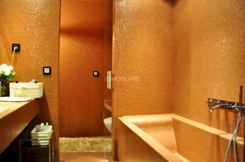 PENTHOUSE UNICAT vedere parc si la lac Herastrau - 19