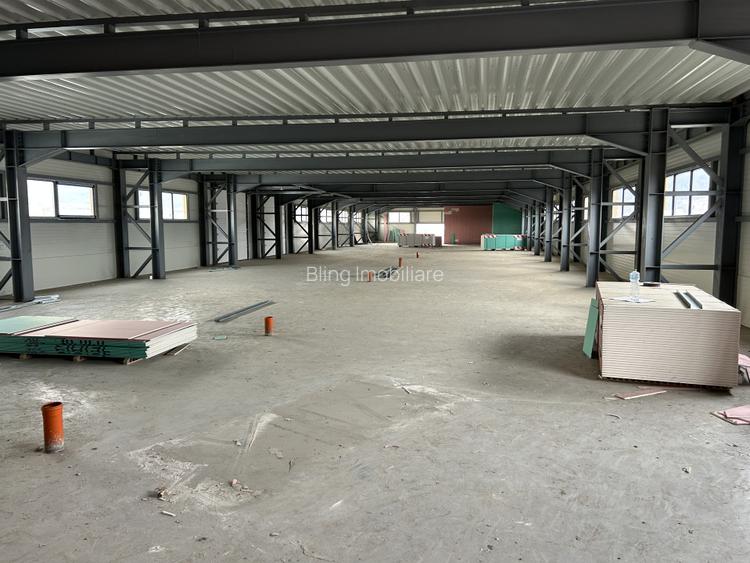 Hala de vanzare 1800mp in Baciu zona Prodvinalco P+2 - 12