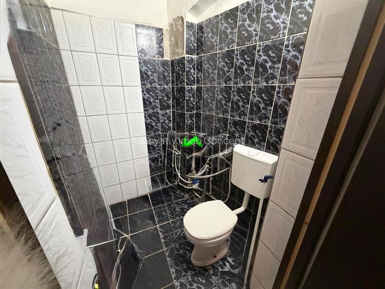 Casa de vanzare 3 camere Sibiu Terezian - 9