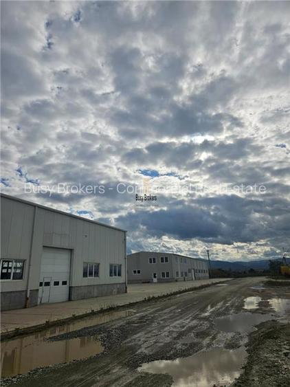 Spatiu Industrial - 600 mp - Depozitare - Distributie - 7