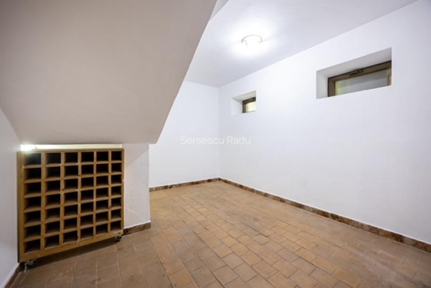 Vilă modernă, str. Dr. C-tin Caracaș nr.47, direct de la proprietar - 9