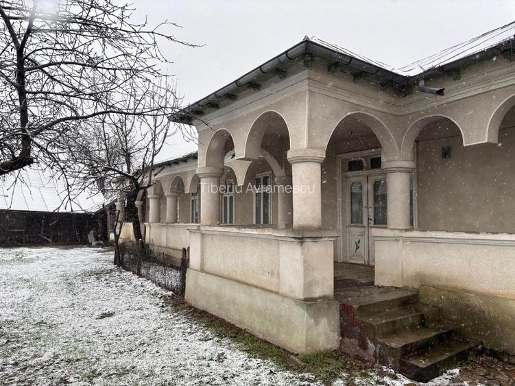 Vand gospodarie taraneasca traditionala - 5