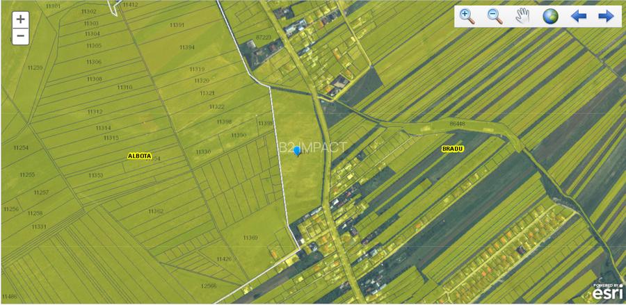 Teren intravilan 33.496 mp, Com. Bradu (fosta Com. Albota), Arges - 6