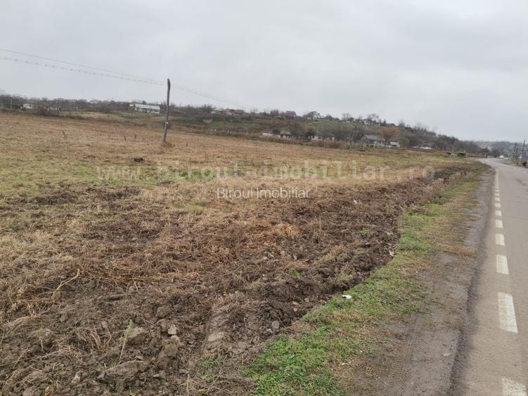 Comision 0,Teren Intravilan  17.000mp - Tulcea cu PUZ si utilitati - Pret Redus! - 5